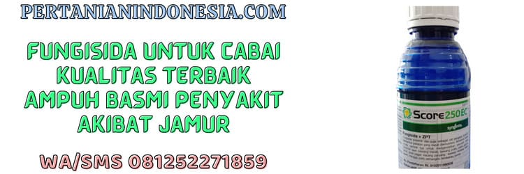 fungisida,petani,jamur,cendawan,penyakit,tanaman